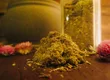 Michelle 表参道 – 专门提供韩式草本艾草蒸疗(黄土)沙龙 3