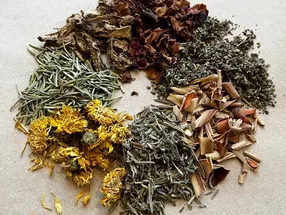 Michelle Shibuya&Omotesando– Specialized Salon for Korean Herbal Yomogi Steam Therapy with Yellow Soil 4